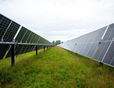 2024 Mammoth Solar by Doral llc 07-09-24-2053