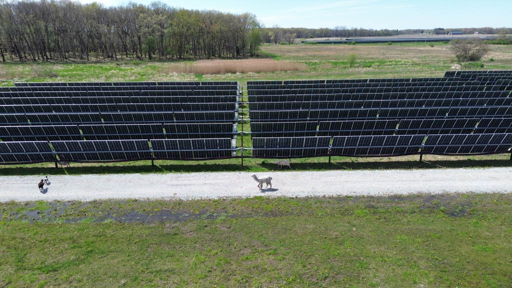 Solar Grazing 1